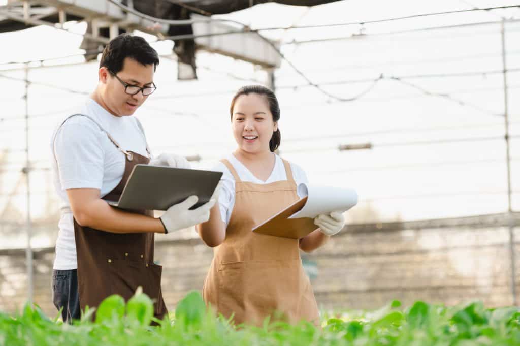 Agriculture Companies Audit