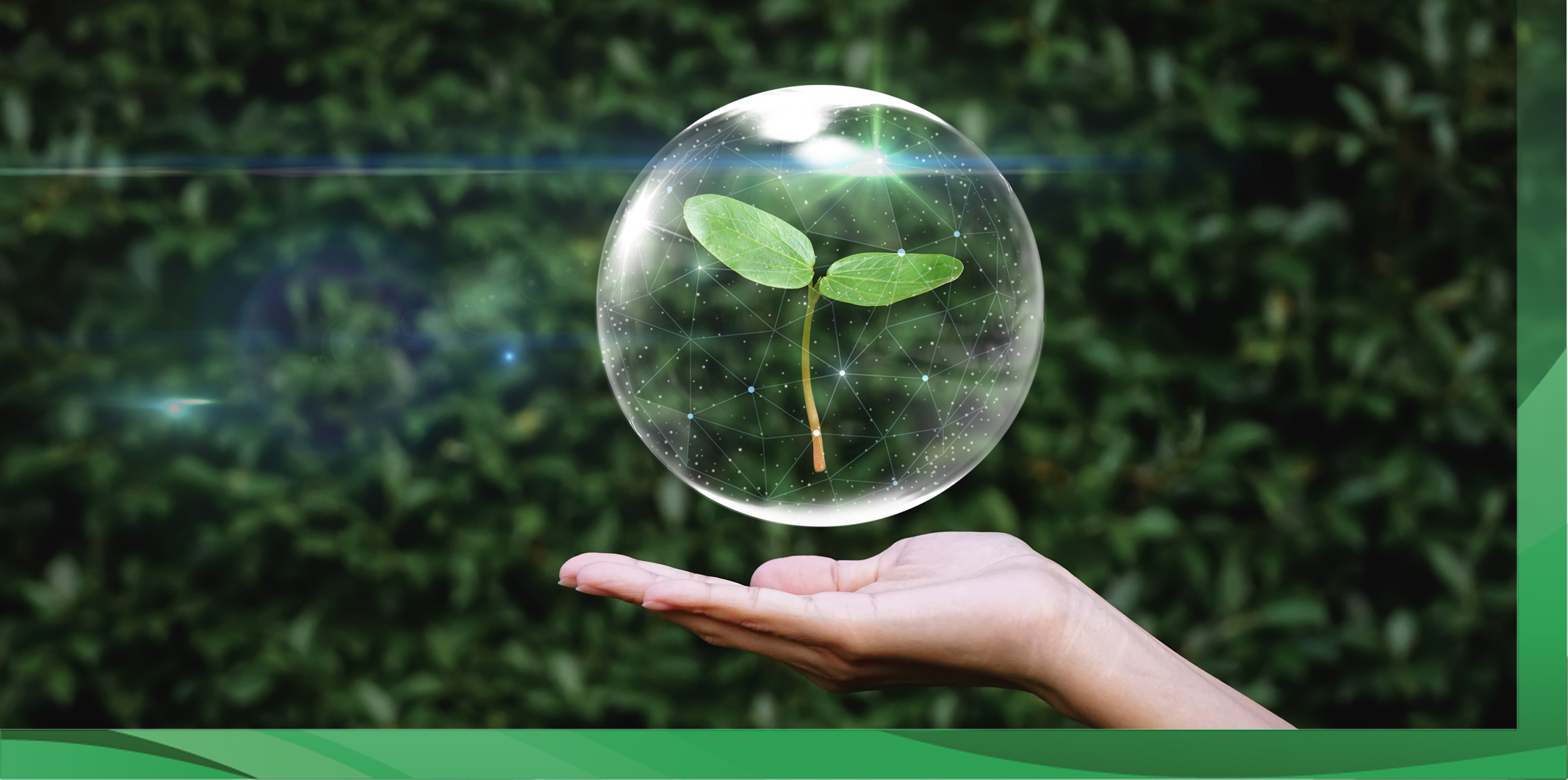 Circular Economy: A Key Pillar of Sustainable Economy